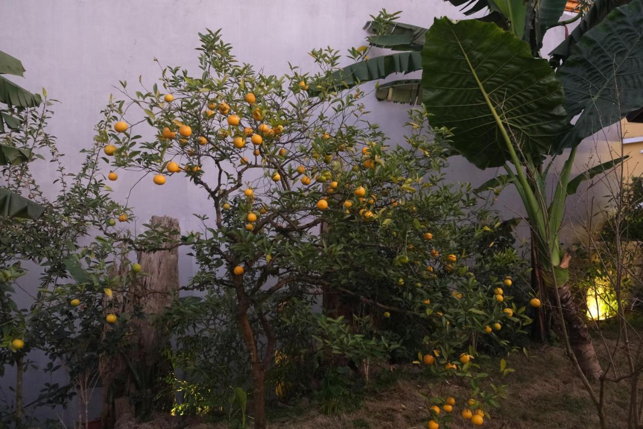 Sapa Charming Homestay Exterior foto